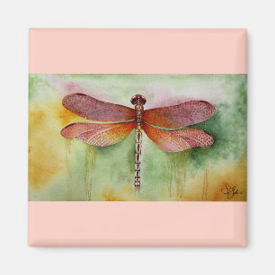 Aimant Dragonfly