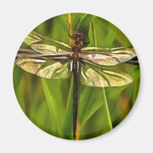 Aimant Dragonfly Artistique En Brown Et Jaune Sur Vert