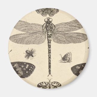 Aimant Dragonfly ( détail ) Art Vintage