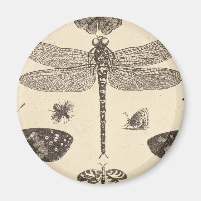 Aimant Dragonfly ( détail ) Art Vintage (Devant)