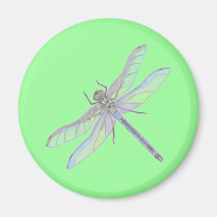 Aimant DRAGONFLY (vert)