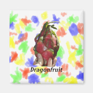 Aimant Dragonfruit s'est tenu dans des doigts avec la