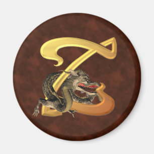 Aimant Dragonlore Z initial