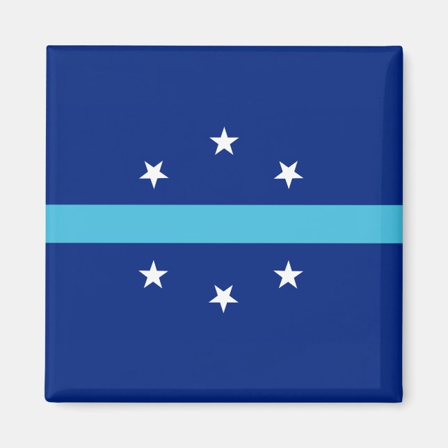 Aimant Drapeau d'Anaheim (Californie, USA) (Devant)