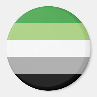 Aimant Drapeau de fierté aromantique LGBTQ