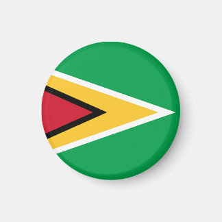 Aimant Drapeau de Guyana