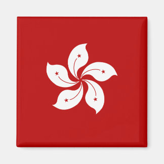 Aimant Drapeau de haute qualité de Hong Kong