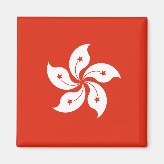 Aimant Drapeau de Hong Kong (Devant)