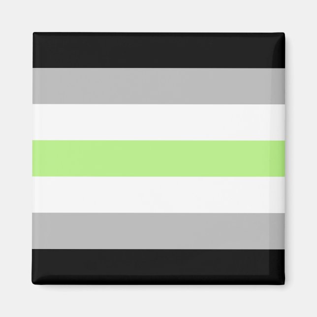 Aimant Drapeau de la fierté agender - Identité agender LG (Devant)