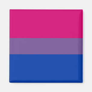 Aimant Drapeau de la fierté bisexuelle