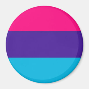 Aimant Drapeau de la fierté d'Androgyne