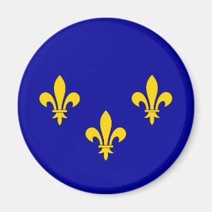 Aimant Drapeau de la région Ile de France