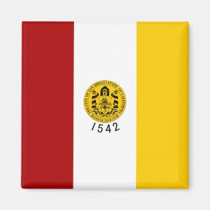 Aimant Drapeau de la ville de San Diego (Californie)