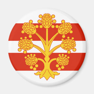 Aimant Drapeau de l'aimant Westmorland