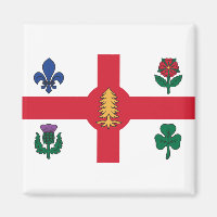 Drapeau de Montréal (Québec)