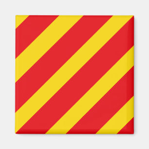 Aimant Drapeau de signalisation lettre Y