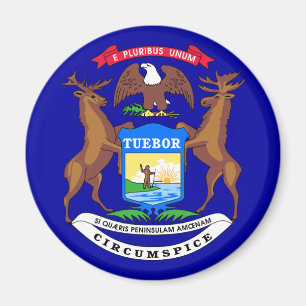 Aimant Drapeau du Michigan