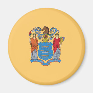 Aimant Drapeau du New Jersey