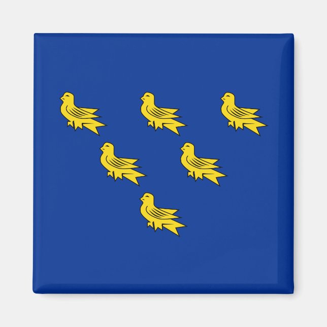 Aimant Drapeau du Sussex (Devant)