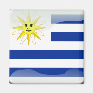 Aimant Drapeau glacé uruguayen