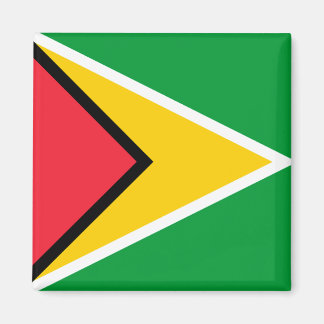 Aimant Drapeau Guyana