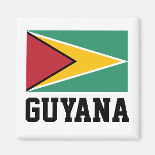 Aimant Drapeau Guyana