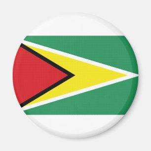 Aimant Drapeau national de la Guyane