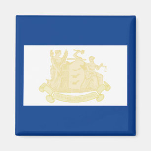 Aimant Drapeau urbain de Newark (New Jersey)