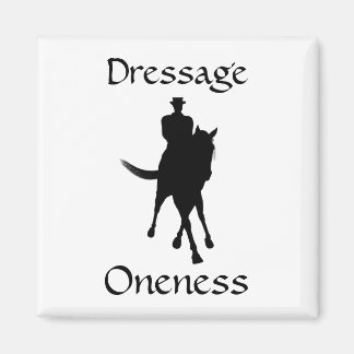 Aimant Dressage Est Un Seul Cheval Et Rider