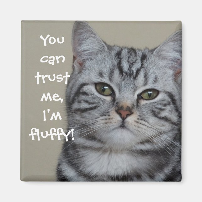 Aimant Drôle chapeau Faites-moi confiance Je suis Fluffy (Devant)