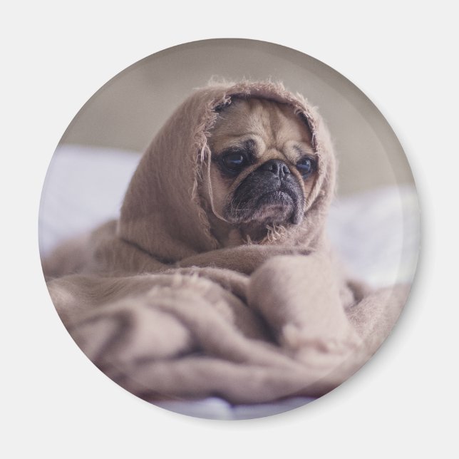 Aimant Drôle chien (Devant)