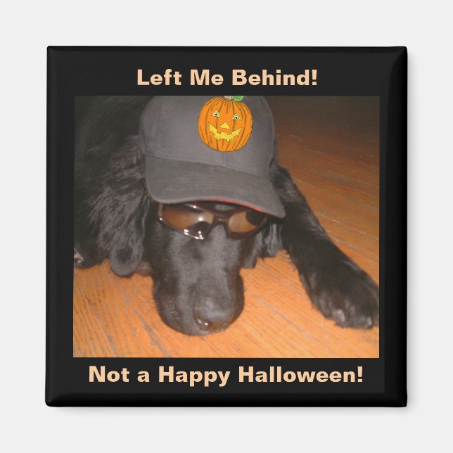 Aimant Drôle Chien Laissé Derrière Cette Halloween (Devant)