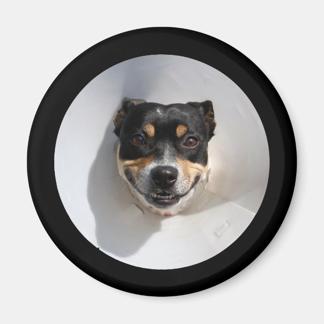 Aimant Drôle chien souriant (Devant)