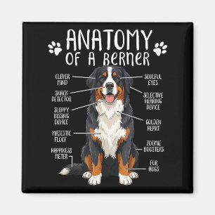Aimant Drôle d'anatomie Chien de montagne bernois Mignon 