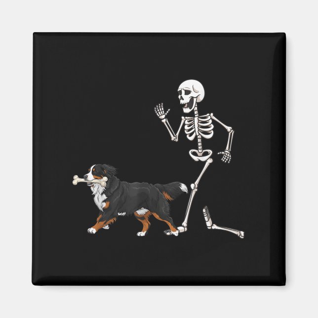 Aimant Drôle Halloween Bernese Mountain Dog Et Skeleton (Devant)