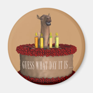 Aimant Drôle Joyeux chameau d'anniversaire