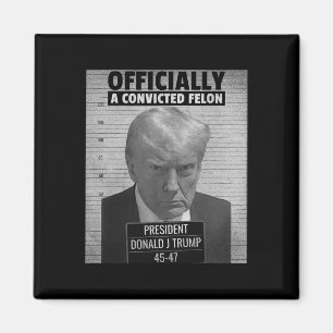 Aimant Drôle Le président Trump est officiellement un dél