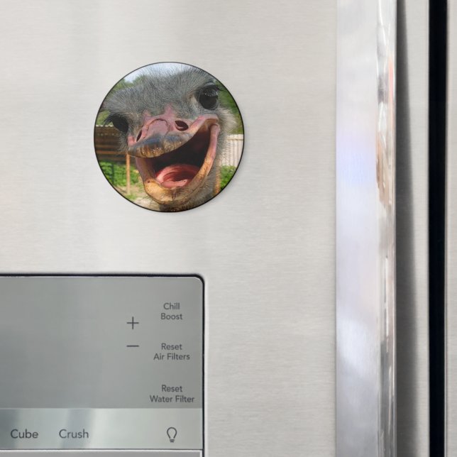 Aimant Drôle Ostrich Bird Photo What's Up (In situ (réfrigérateur))