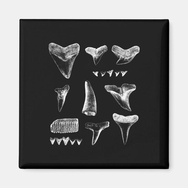 Aimant Drôle Poignées de requin Conception pour hommes fe (Devant)