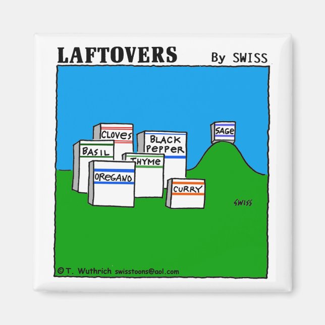 Aimant Drôle Sage Spice Spices Laftovers Foodie Carton (Devant)