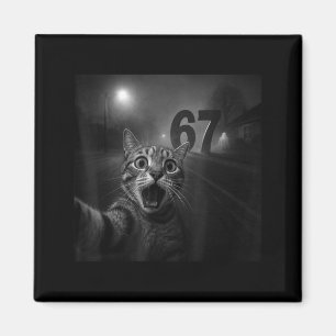 Aimant Drôle Six Sept 6 7 Mème Gen Z Alpha Argot Chat Sel