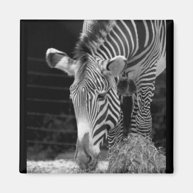 Aimant DSC01614 a (Devant)