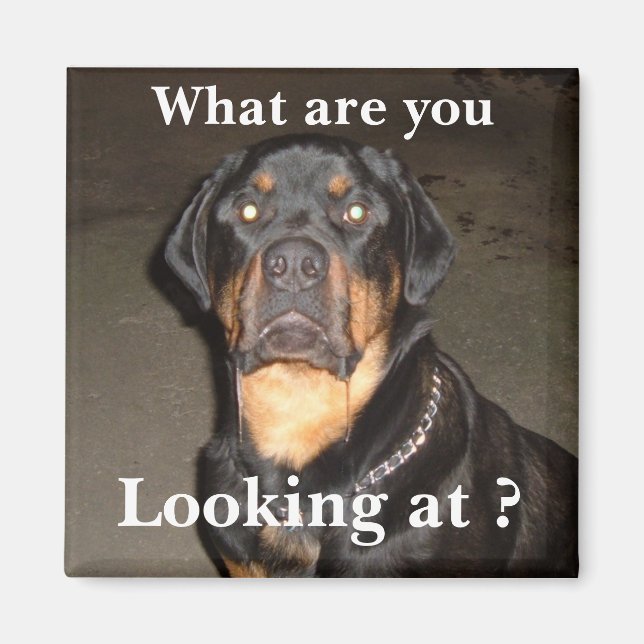 Aimant DSCF0490, Qu'est-ce que vous regardez ? (Devant)