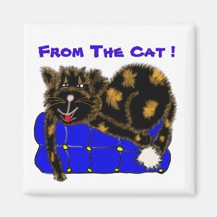Aimant , Du Chat !