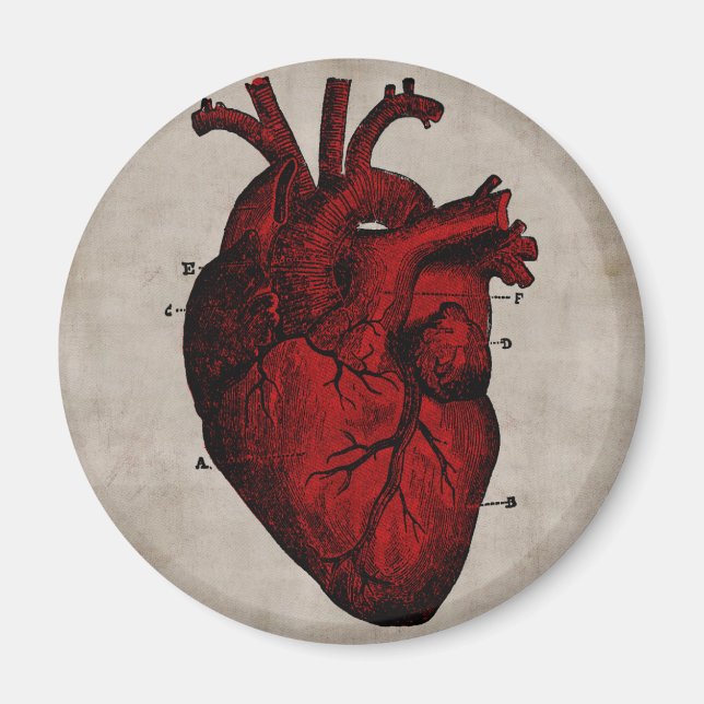Aimant du coeur humain (Devant)