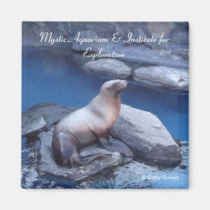 Aimant du Connecticut