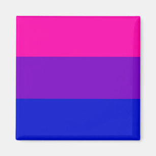 Aimant du drapeau de la Bi pride