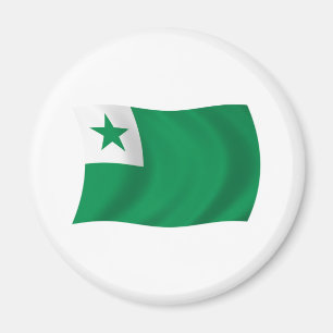Aimant du drapeau de l'espéranto
