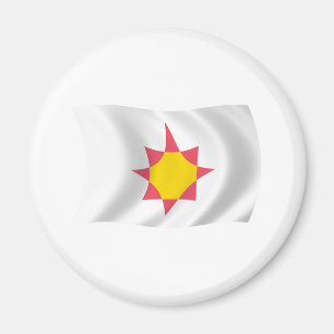 Aimant du drapeau novial