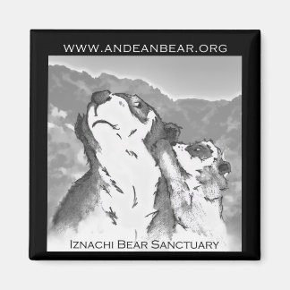 Aimant du sanctuaire d'ours Iznachi
